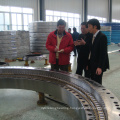 Tunnel boring machine main bearing with cheap price